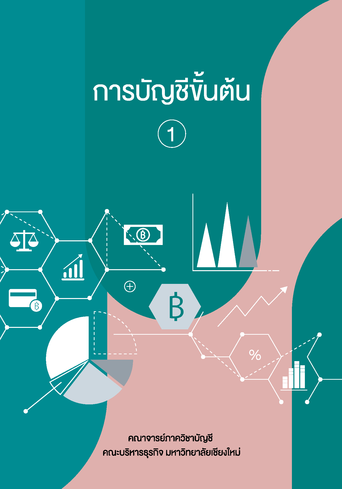 การบัญชีขั้นต้น 1